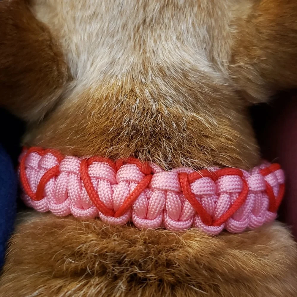 Handmade paracord Dog Collar with stitches hearts